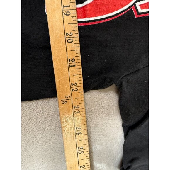 Vtg 1996 Red Wings Record Breaking Season T Shirt Sz XL Single Stitch USA MADE - Picture 5 of 8